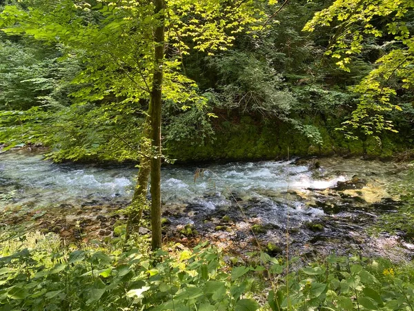 Rio Montanha Radovna Desfiladeiro Vintgar Desfiladeiro Bled Bled Eslovénia Parque — Fotografia de Stock