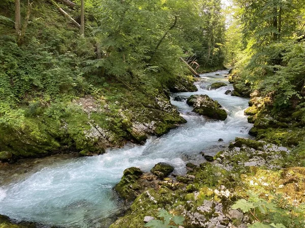 Bergrivier Radovna Kloof Van Vintgar Kloof Van Bled Bled Slovenië — Stockfoto