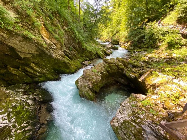 Río Montaña Radovna Garganta Vintgar Garganta Bled Bled Eslovenia Parque — Foto de Stock