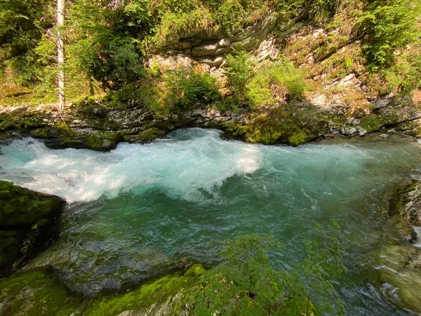 Fiume Radovna Nella Gola Del Vintgar Gola Bled Bled Slovenia — Foto Stock