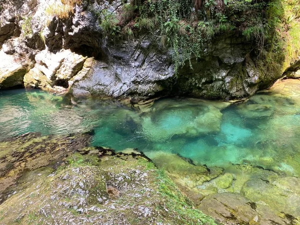 Górska Rzeka Radovna Wąwozie Vintgar Bled Słowenia Triglav National Park — Zdjęcie stockowe