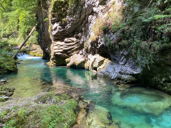 Dağ nehri Radovna Vintgar Vadisi veya Bled Gorge - Bled, Slovenya (Triglav Ulusal Parkı) - Bergfluss Radovna in der Vintgarklamm oder Vintgar Klamm - Bled, Slowenien (Triglav-Nationalpark))