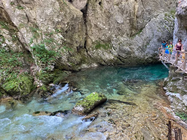 Górska Rzeka Radovna Wąwozie Vintgar Bled Słowenia Triglav National Park — Zdjęcie stockowe