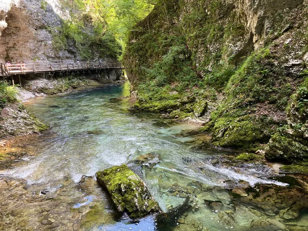 Rio Montanha Radovna Desfiladeiro Vintgar Desfiladeiro Bled Bled Eslovénia Parque — Fotografia de Stock