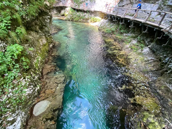 Rio Montanha Radovna Desfiladeiro Vintgar Desfiladeiro Bled Bled Eslovénia Parque — Fotografia de Stock