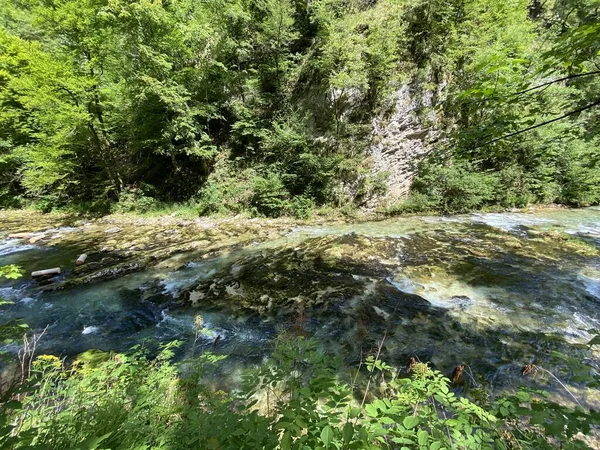 Górska Rzeka Radovna Wąwozie Vintgar Bled Słowenia Triglav National Park — Zdjęcie stockowe