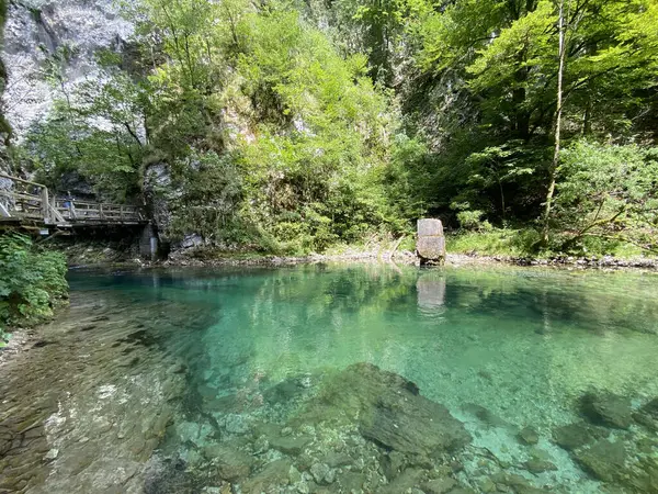 협곡이나 슬로베니아 Triglav National Park Bergfluss Radovna Der Vintgarklamm Oder — 스톡 사진