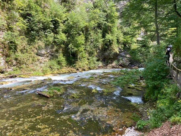 Fiume Radovna Nella Gola Del Vintgar Gola Bled Bled Slovenia — Foto Stock