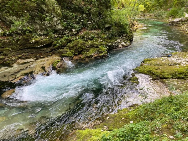 Bergsfloden Radovna Vintgar Gorge Eller Bled Gorge Bled Slovenien Triglav — Stockfoto