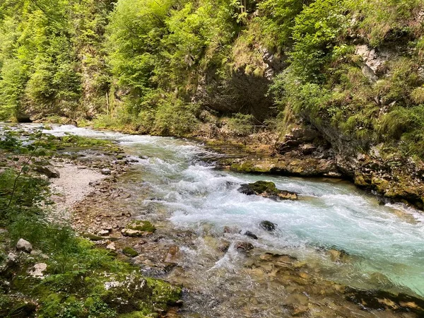 Río Montaña Radovna Garganta Vintgar Garganta Bled Bled Eslovenia Parque — Foto de Stock