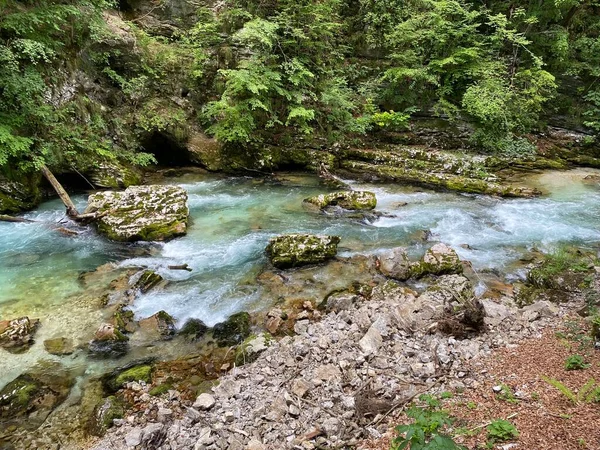 Bergfluss Radovna Der Vintgarklamm Oder Vintgar Klamm Bled Slowenien Triglav — Stockfoto
