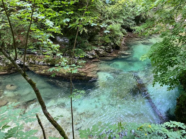 Rio Montanha Radovna Desfiladeiro Vintgar Desfiladeiro Bled Bled Eslovénia Parque — Fotografia de Stock