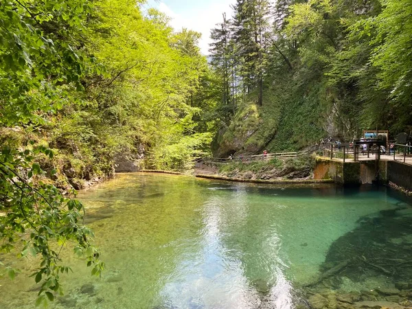 Bergfluss Radovna Der Vintgarklamm Oder Vintgar Klamm Bled Slowenien Triglav — Stockfoto