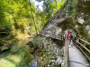 Vintgar Gorge veya Bled Gorge - Bled, Slovenya (Triglav Ulusal Parkı) - Wanderweg durch die Vintgar-Schlucht oder Vintgarklamm - Bled, Slowenien (Triglav-Nationalpark))