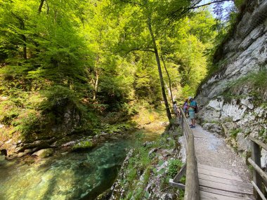 Vintgar Gorge veya Bled Gorge - Bled, Slovenya (Triglav Ulusal Parkı) - Wanderweg durch die Vintgar-Schlucht oder Vintgarklamm - Bled, Slowenien (Triglav-Nationalpark))