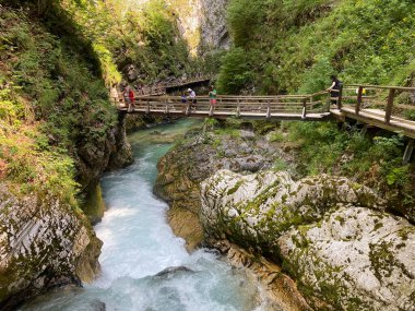 Vintgar Gorge veya Bled Gorge - Bled, Slovenya (Triglav Ulusal Parkı) - Wanderweg durch die Vintgar-Schlucht oder Vintgarklamm - Bled, Slowenien (Triglav-Nationalpark))