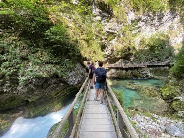 Vintgar Gorge veya Bled Gorge - Bled, Slovenya (Triglav Ulusal Parkı) - Wanderweg durch die Vintgar-Schlucht oder Vintgarklamm - Bled, Slowenien (Triglav-Nationalpark))
