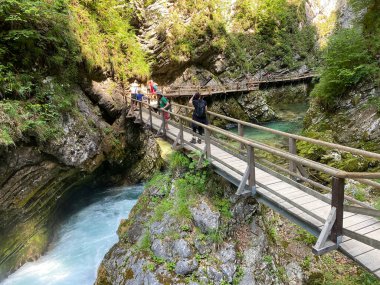 Vintgar Gorge veya Bled Gorge - Bled, Slovenya (Triglav Ulusal Parkı) - Wanderweg durch die Vintgar-Schlucht oder Vintgarklamm - Bled, Slowenien (Triglav-Nationalpark))