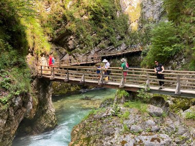 Vintgar Gorge veya Bled Gorge - Bled, Slovenya (Triglav Ulusal Parkı) - Wanderweg durch die Vintgar-Schlucht oder Vintgarklamm - Bled, Slowenien (Triglav-Nationalpark))
