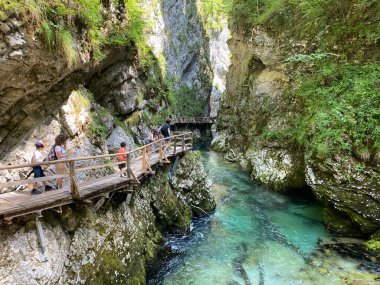 Vintgar Gorge veya Bled Gorge - Bled, Slovenya (Triglav Ulusal Parkı) - Wanderweg durch die Vintgar-Schlucht oder Vintgarklamm - Bled, Slowenien (Triglav-Nationalpark))