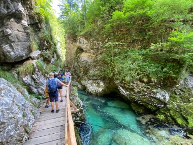 Vintgar Gorge veya Bled Gorge - Bled, Slovenya (Triglav Ulusal Parkı) - Wanderweg durch die Vintgar-Schlucht oder Vintgarklamm - Bled, Slowenien (Triglav-Nationalpark))
