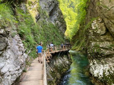 Vintgar Gorge veya Bled Gorge - Bled, Slovenya (Triglav Ulusal Parkı) - Wanderweg durch die Vintgar-Schlucht oder Vintgarklamm - Bled, Slowenien (Triglav-Nationalpark))