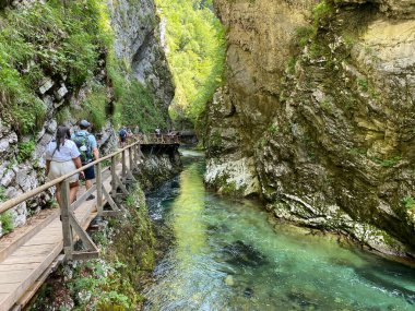 Vintgar Gorge veya Bled Gorge - Bled, Slovenya (Triglav Ulusal Parkı) - Wanderweg durch die Vintgar-Schlucht oder Vintgarklamm - Bled, Slowenien (Triglav-Nationalpark))