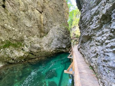 Vintgar Gorge veya Bled Gorge - Bled, Slovenya (Triglav Ulusal Parkı) - Wanderweg durch die Vintgar-Schlucht oder Vintgarklamm - Bled, Slowenien (Triglav-Nationalpark))