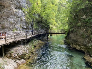 Vintgar Gorge veya Bled Gorge - Bled, Slovenya (Triglav Ulusal Parkı) - Wanderweg durch die Vintgar-Schlucht oder Vintgarklamm - Bled, Slowenien (Triglav-Nationalpark))
