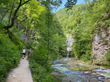 Vintgar Gorge veya Bled Gorge - Bled, Slovenya (Triglav Ulusal Parkı) - Wanderweg durch die Vintgar-Schlucht oder Vintgarklamm - Bled, Slowenien (Triglav-Nationalpark))