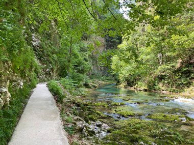Vintgar Gorge veya Bled Gorge - Bled, Slovenya (Triglav Ulusal Parkı) - Wanderweg durch die Vintgar-Schlucht oder Vintgarklamm - Bled, Slowenien (Triglav-Nationalpark))