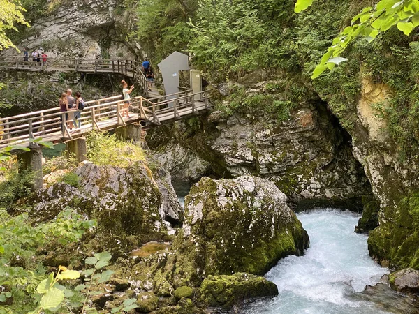 Wandelroute Door Vintgar Kloof Bled Kloof Bled Slovenië Triglav Nationaal — Stockfoto