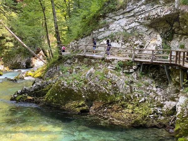 Vandringsled Genom Vintgar Gorge Eller Bled Gorge Bled Slovenien Triglav — Stockfoto