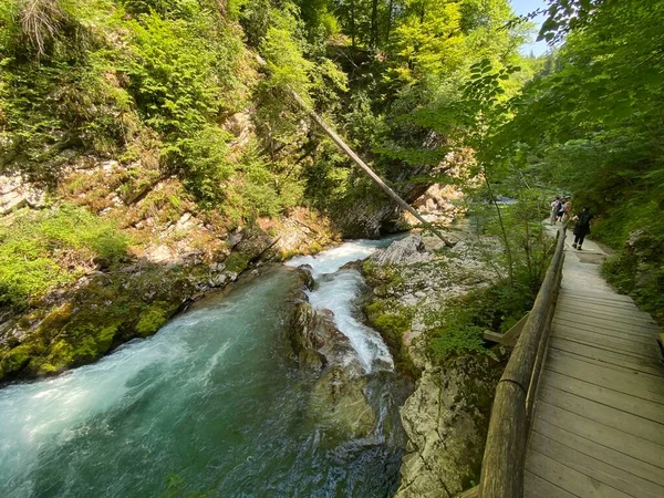 Hiking Trail Vintgar Gorge Bled Gorge Bled Slovenia Triglav National — Stock Photo, Image