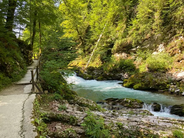 Trilha Caminhada Através Vintgar Gorge Bled Gorge Bled Eslovénia Triglav — Fotografia de Stock