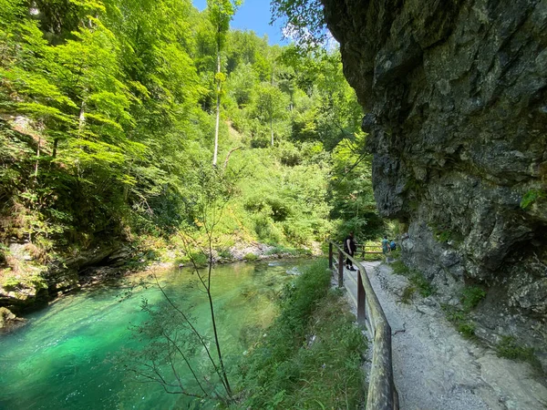 Trilha Caminhada Através Vintgar Gorge Bled Gorge Bled Eslovénia Triglav — Fotografia de Stock