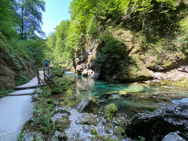 Vintgar Gorge veya Bled Gorge - Bled, Slovenya (Triglav Ulusal Parkı) - Wanderweg durch die Vintgar-Schlucht oder Vintgarklamm - Bled, Slowenien (Triglav-Nationalpark))