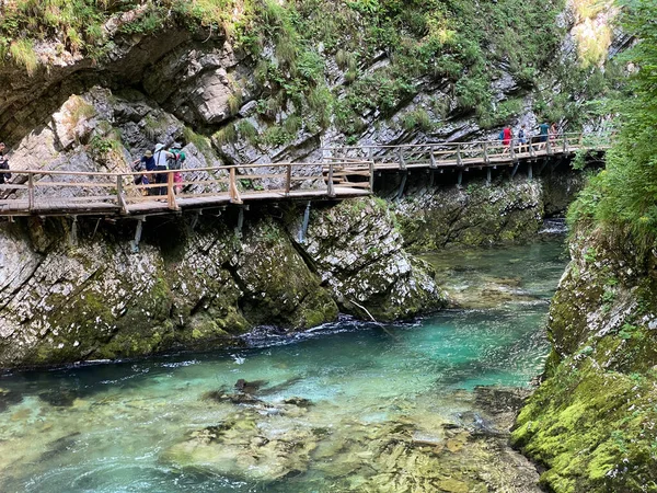 Wanderweg Durch Die Vintgar Schlucht Oder Vintgarklamm Bled Slowenien Triglav — Stockfoto