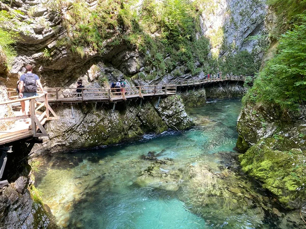 Hiking Trail Vintgar Gorge Bled Gorge Bled Slovenia Triglav National — Stock Photo, Image