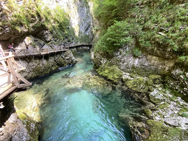 Sendero Través Vintgar Gorge Bled Gorge Bled Eslovenia Parque Nacional — Foto de Stock