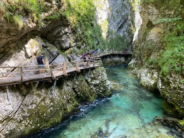 Trilha Caminhada Através Vintgar Gorge Bled Gorge Bled Eslovénia Triglav — Fotografia de Stock