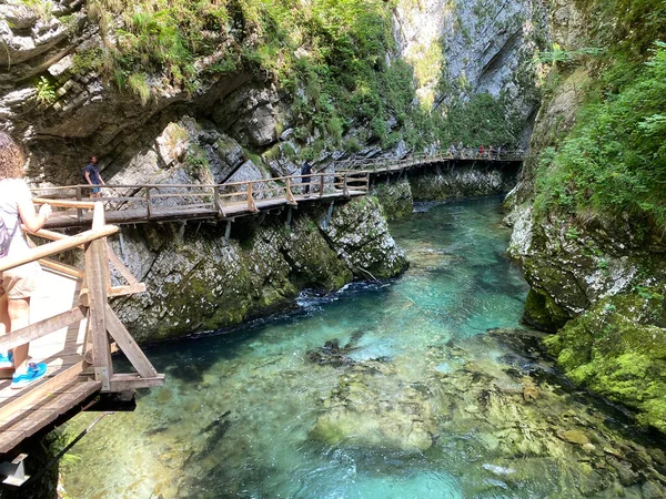 Szlak Turystyczny Przez Wąwóz Vintgar Lub Wąwóz Bled Bled Słowenia — Zdjęcie stockowe
