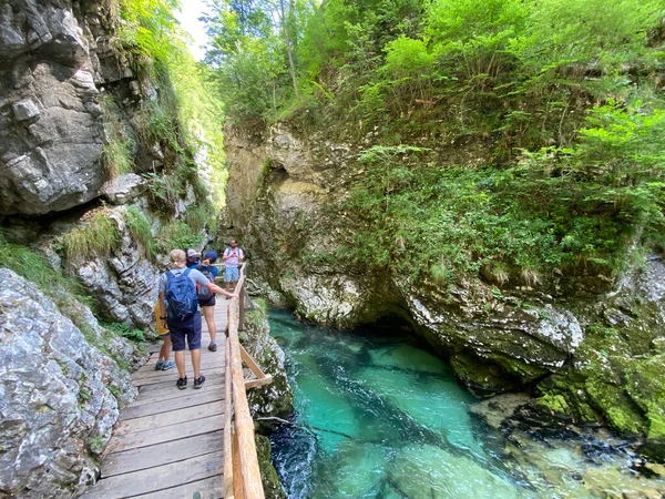 Wanderweg Durch Die Vintgar Schlucht Oder Vintgarklamm Bled Slowenien Triglav — Stockfoto