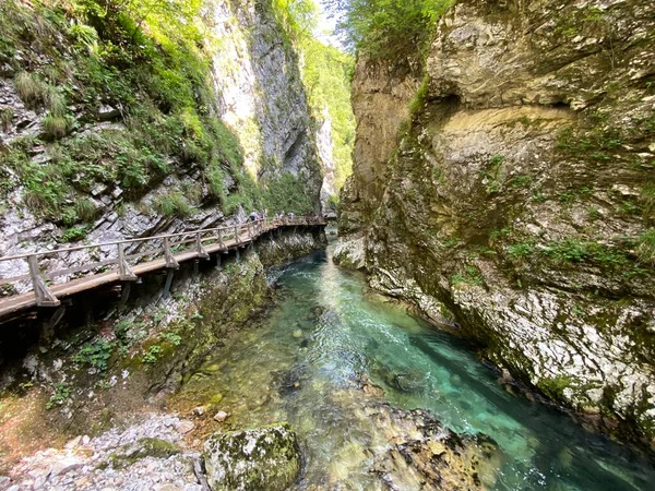 Wanderweg Durch Die Vintgar Schlucht Oder Vintgarklamm Bled Slowenien Triglav — Stockfoto