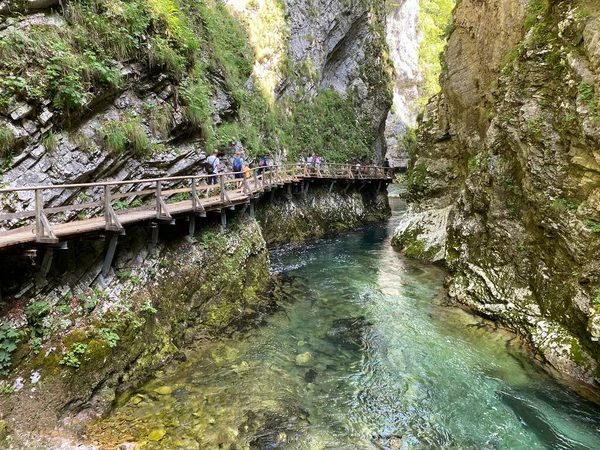 Wanderweg Durch Die Vintgar Schlucht Oder Vintgarklamm Bled Slowenien Triglav — Stockfoto