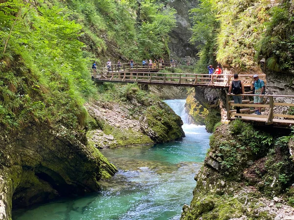 Vintgar Gorge veya Bled Gorge - Bled, Slovenya (Triglav Ulusal Parkı) - Wanderweg durch die Vintgar-Schlucht oder Vintgarklamm - Bled, Slowenien (Triglav-Nationalpark))