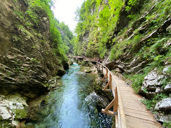 Trilha Caminhada Através Vintgar Gorge Bled Gorge Bled Eslovénia Triglav — Fotografia de Stock