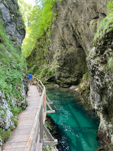 Διαδρομή Πεζοπορίας Στο Φαράγγι Vintgar Στο Φαράγγι Bled Bled Σλοβενία — Φωτογραφία Αρχείου