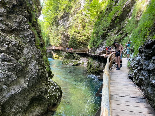 Sendero Través Vintgar Gorge Bled Gorge Bled Eslovenia Parque Nacional — Foto de Stock