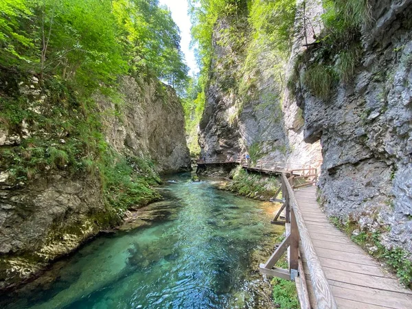 Vandringsled Genom Vintgar Gorge Eller Bled Gorge Bled Slovenien Triglav — Stockfoto